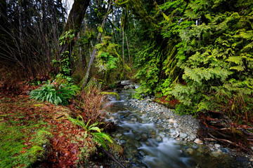 Obraz premium Creek flowing into lake on a Winter's day