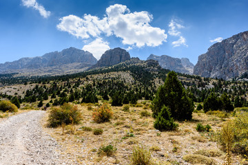 Mountain landscape with trees in the Turkish national Park aladag in summer day