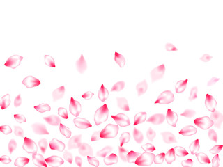 Spring blossom isolated petals flying
