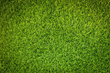 Obraz premium Green grass soccer field background.