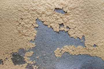 Peeling Paint on Wall.