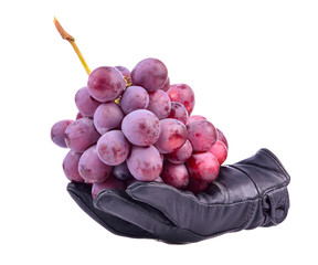 Hand holding a red grape healthy fresh fruit cherries from nature isolated on a white background.