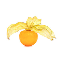 Cape gooseberry, physalis isolated on white background
