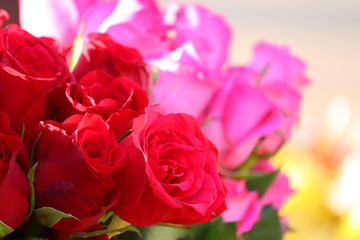 close up of three red roses with blur pink roses background in street rose flowers market