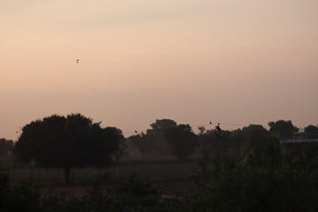 landscape of sunrise in the morning on sunday