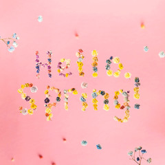 Hello spring. The letters are lined with small multi-colored gypsophila flowers and fly on a yellow background among other flowers.