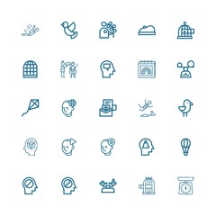 Editable 25 freedom icons for web and mobile