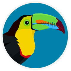 Wild birds Keel-billed Toucan Vector illustration Cartoon flat style Round frame