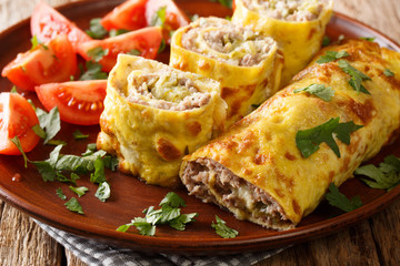 Russian food Brizol with meat, cheese and pickled cucumbers close-up in a plate. horizontal