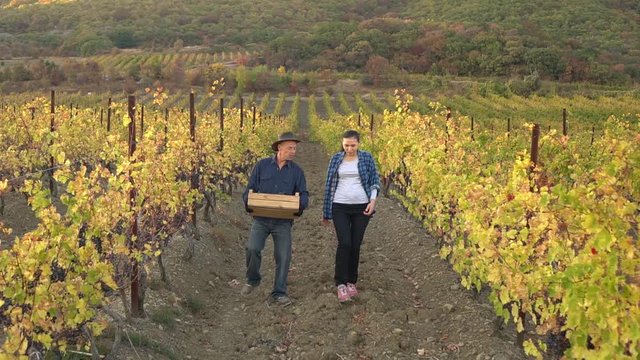 Family Winemakers. Organic Winery. Grape Growing. Middle-aged Couple, Man And Woman Farmers In A Grape Field