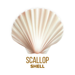 Scallop Shell Ocean Mollusk Protection Vector. Scallop Cockleshell Marine Seashore Vacation Decorative Souvenir. Restaurant Culinary Delicacy Seafood Concept Mockup Realistic 3d Illustration