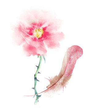 Watercolor flower and feather, isolated on white