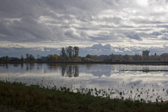 Evening at Fernhill Wetlands Nature Preserve in Forest Grove, Oregon