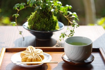 お茶と和菓子　お茶ともみじ饅頭