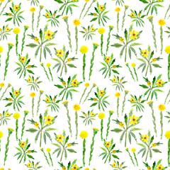 seamless pattern of watercolor spring yellow flowers wood anemone and coltsfoot