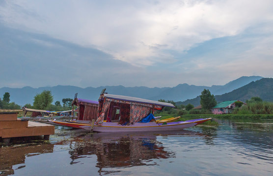 Colourfull Shikaras, small wooden carved boats, Dal lake, Srinagar, Kashmir, India