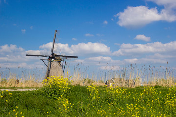 rural landscape with windmills at famous tourist site Kinderdijk in Netherlands