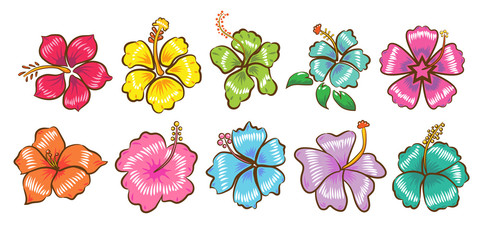 Hibiscus vector set collection graphic clipart design © pisut