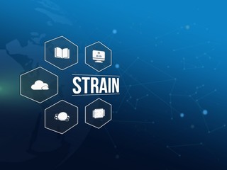 Strain