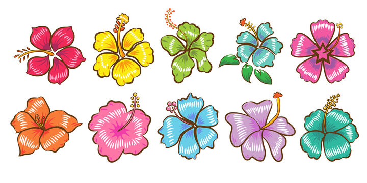 Hibiscus vector set collection graphic clipart design