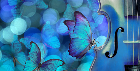 blues music concept. melody concept. butterfly sitting on a violin. violin on a blurry blue background. blurry lights and blue morpho butterflies.  © Oleksii