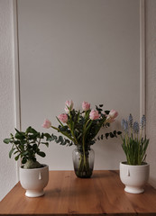 3 flowers stand on the desk with tulips in the middle