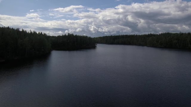 flying over a calm lake in the middle of a dense pine forest on a cloudy summer day, in the wilderness