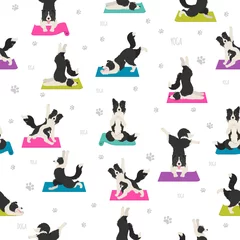 Deurstickers Honden Yoga honden poses en oefeningen naadloos patroonontwerp. Bordercollie clipart