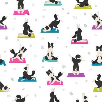 Yoga dogs poses and exercises seamless pattern design. Border collie clipart