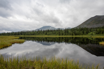 Mountain lake in the taiga. Mountains of the Subpolar Urals.