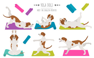 Yoga dogs poses and exercises poster design. English pointer clipart