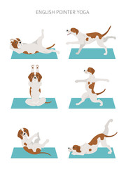 Yoga dogs poses and exercises poster design. English pointer clipart