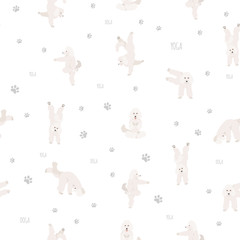 Yoga dogs poses and exercises seamless pattern design. Poodle clipart