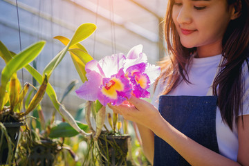 Happiness farmer owner of orchid gardening farm show orchids are blooming in her garden farm ready for collect to market
