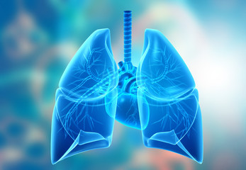 Anatomy of Human lungs. 3d illustration.