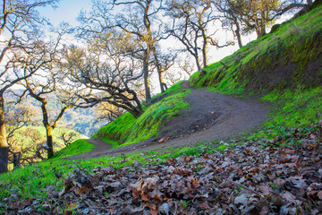 Hiking path