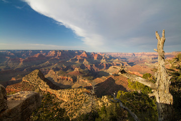 South rim trail scenery Grand Canyon National Park USA