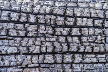 Charred smoking wood log as background