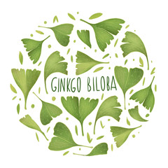 Ginkgo biloba leaves. Circle concept. Digital Illustration. Isolated on white background. 