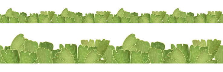 Ginkgo biloba leaves. Seamless border. Digital Illustration. Isolated on white background. 