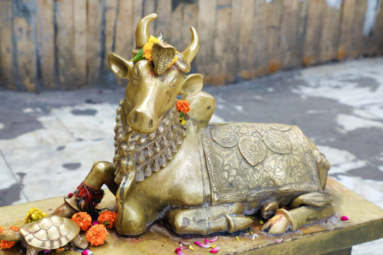 Nandi Images – Browse 2,734 Stock Photos, Vectors, and Video | Adobe Stock Nandi Images – Browse 2,734 Stock Photos, Vectors, and Video | Adobe Stock