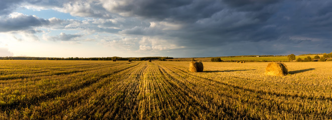 Scene with haystacks on the field in autumn sunny day. Rural landscape with cloudy sky background. Golden harvest of wheat in evening. Panorama.