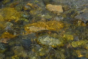 stone in force water in beautiful lake