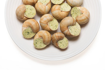 still life of stuffed snail sauce, on a white background