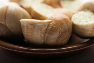 still life of stuffed snail sauce, on a white background
