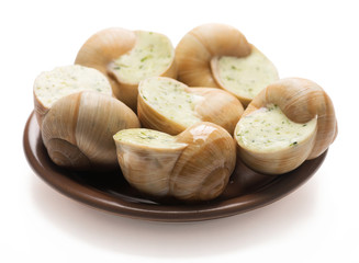 still life of stuffed snail sauce, on a white background