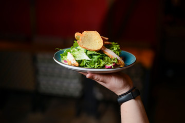 Waiters hand holding a plate of green chicken salad with spinach, arugula, onion, seeds. Restaurant photography.