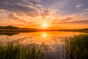 Scenic view of beautiful sunrise or dawn above the pond or lake at spring or early summer morning with cloudy sky background, fog over water and reed grass with dew at foreground. Landscape. Water ref - Powered by Adobe