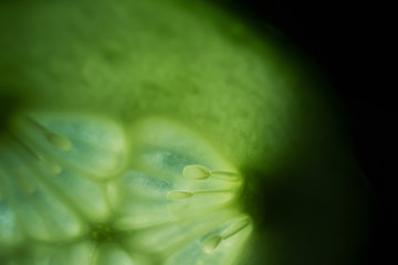 Juicy slice of cucumber on a dark background. In the frame, only part of the cucumber. Detailed macro photo. Copyspace, minimalism.