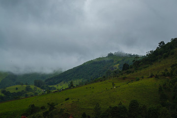 landscape with mountains and clouds green